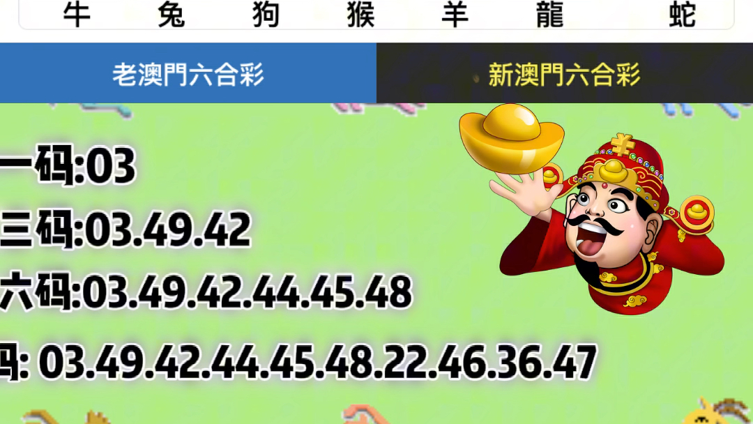2024年新奥门王中王资料澳彩开奖