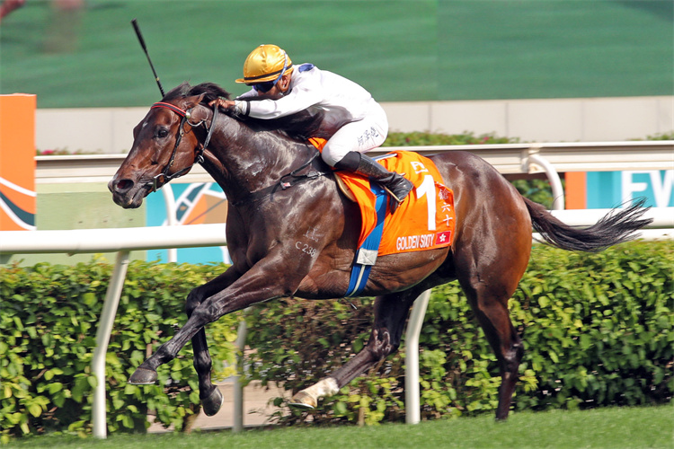 香港马会全年资料大全，赛驹、赛事与会员福利的全面解析香港2021年马会资料大全