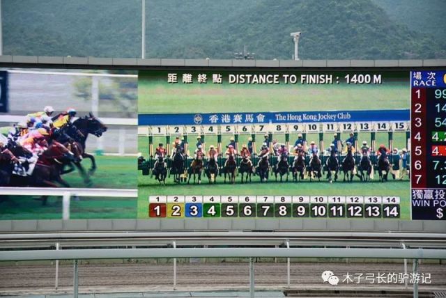 香港全年资料马会大全，全面解析与深度解读的赛事宝典香港2021年马会资料大全
