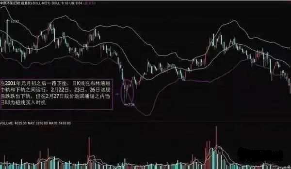 今晚特马揭秘，资料全解析来袭！带你洞悉开奖奥秘的深度分析文章标题待补充内容篇首语，今晚开什么特马资料 免费提供