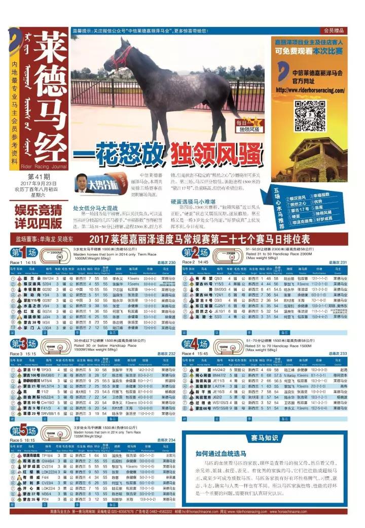 黄大仙心水坛，探寻智慧与幸运的源泉之地黄大仙论坛心水高手