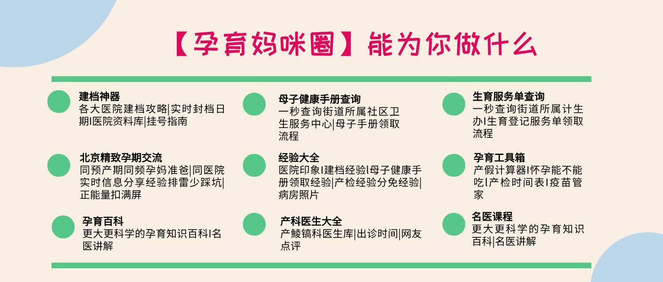管家婆一肖资料大全，全面解析与实用指南