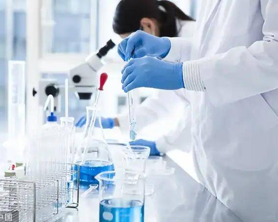 管家婆资料大全，家庭管理的智慧宝典与实用指南