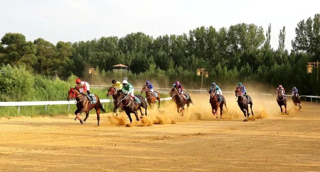 2019正版马会资料大全，全面解析与实用指南2021马会资料精选免费大全