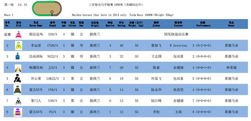 香港赛马会排位表与背后的文化魅力解析—一场速度的盛宴，激情四溢！引言，探索独特的竞速风采香港赛马会排位表资料贴士指数