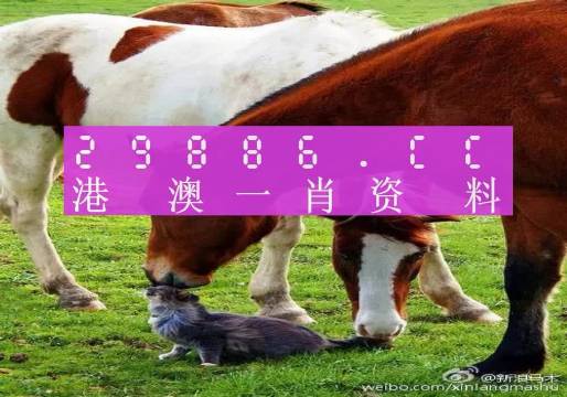 澳门马开奖结果 开奖结果生肖表