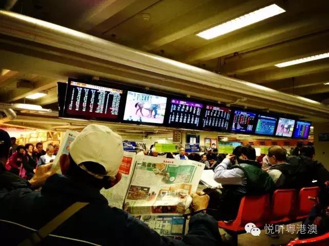 香港赛马盛况，买马的乐趣与开奖结果直播体验记实香港买马开奖结果直播今天