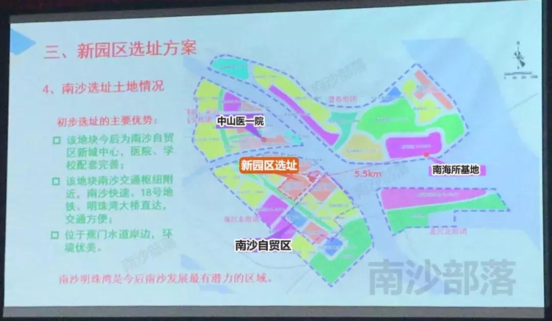 白小姐一码中，揭秘期期待望的彩票开奖结果查询之路！从数字迷雾到幸运之门的探索之旅。白小姐一码中期期开奖结果查询7