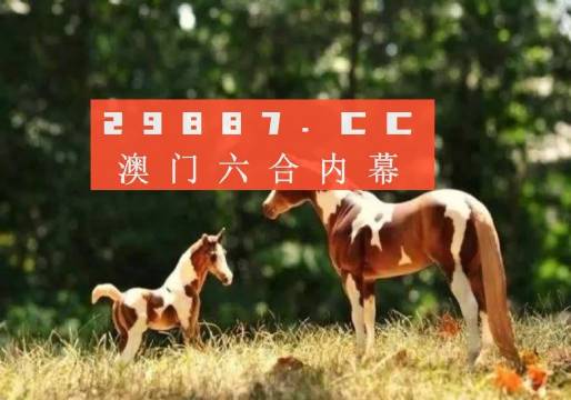 本港台开奖现场直播，揭秘数字背后的幸运时刻记录与解析本港台开奖直播+开奖结果733999