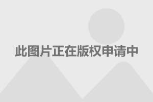 今期澳门彩开奖结果揭秘与解析，探寻背后的数字奥秘和幸运之谜！今日特辑—澳门彩票新动态报道分析篇今期澳门彩开奖结果2023年