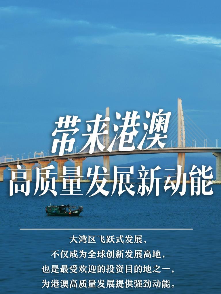 2034年新澳资料免费精准解析与展望—机遇共鉴，未来可期！澳门新彩
