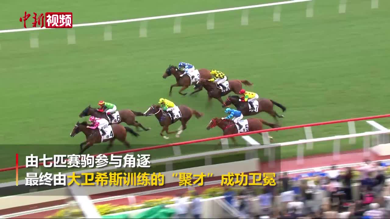 香港赛马会免费资料网，一览无余的赛事与资讯平台简介及使用指南香港赛马会资料