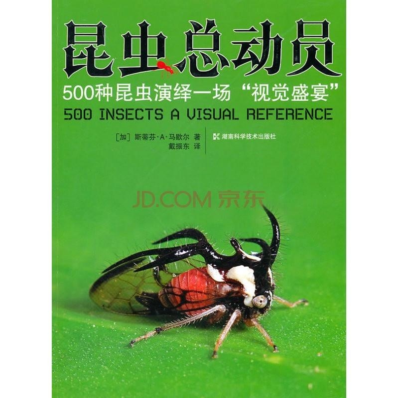 3D天牛红五图库大全，汇聚万千精彩，一览无余的视觉盛宴！3d天牛红五图库大全汇总老汉图