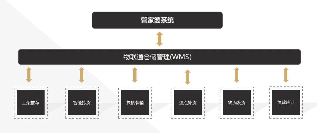 203年香港正版管家婆资料大全，探索与解析的旅程开启！2020香港管家婆