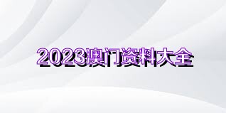 2023年澳门正版资料大全公开软件特色