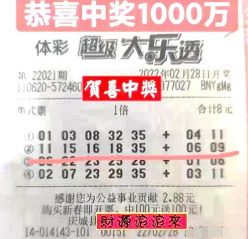 四九图、双色球或者说是‘大乐透’的简化版—六 开，一直备受广大玩家的关注。本文将深入探讨关于新澳门2025历史开奖记录查询表最新版