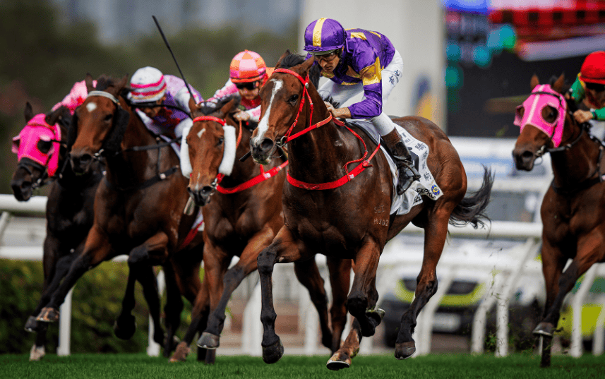 一.马匹资讯篇 年度最佳战骑揭晓香港2021年马会资料大全