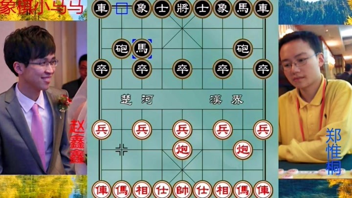 管家婆一码特肖资料大全，揭秘与解析的全面指南