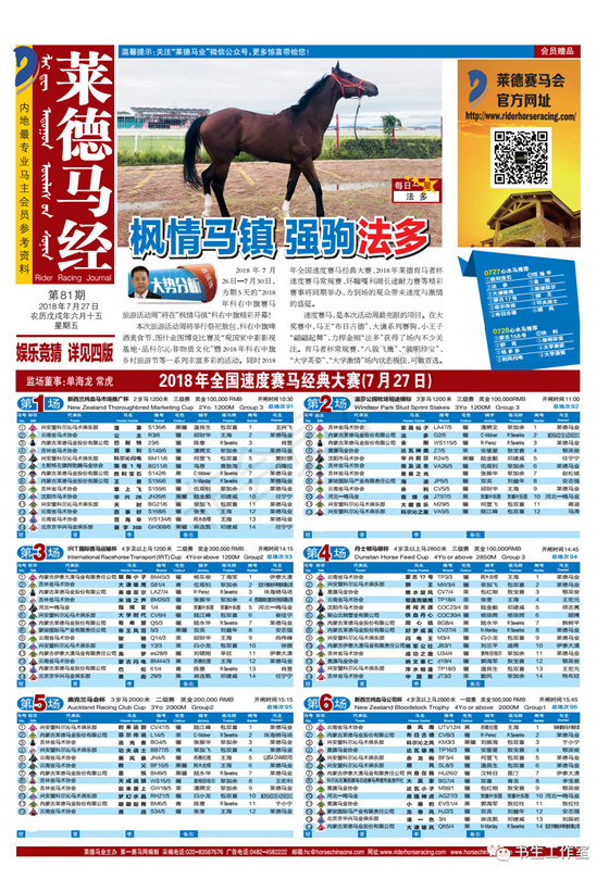 买马资料图，2018年今晚的决策与准备指南分析报告买马资料图2018第19期