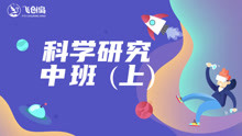 探索奇妙世界，从www.19333com开始
一站式网络服务平台体验之旅记实与分享 strong>一、引言