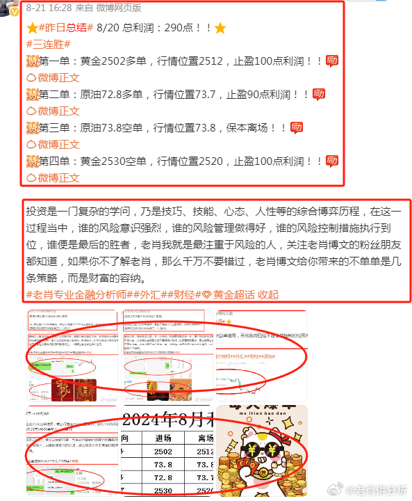 2048年管家婆的马资料解析与展望，揭秘未来赛马的奥秘！管家婆24马精选