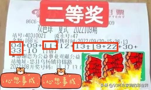 168开奖场直播，揭秘幸运的瞬间与结果分析报告168现场开奖开奖结果查询