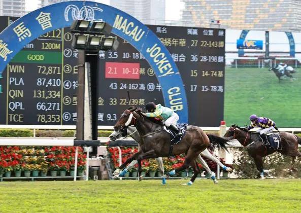 2019年香港马会全年资料概览，赛驹风采与赛事回顾大赏全解析！香港2021年马会资料