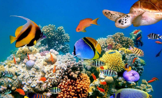 探索知识的海洋—二、四 六的秘密世界！二四六资料大全免费公开1一150