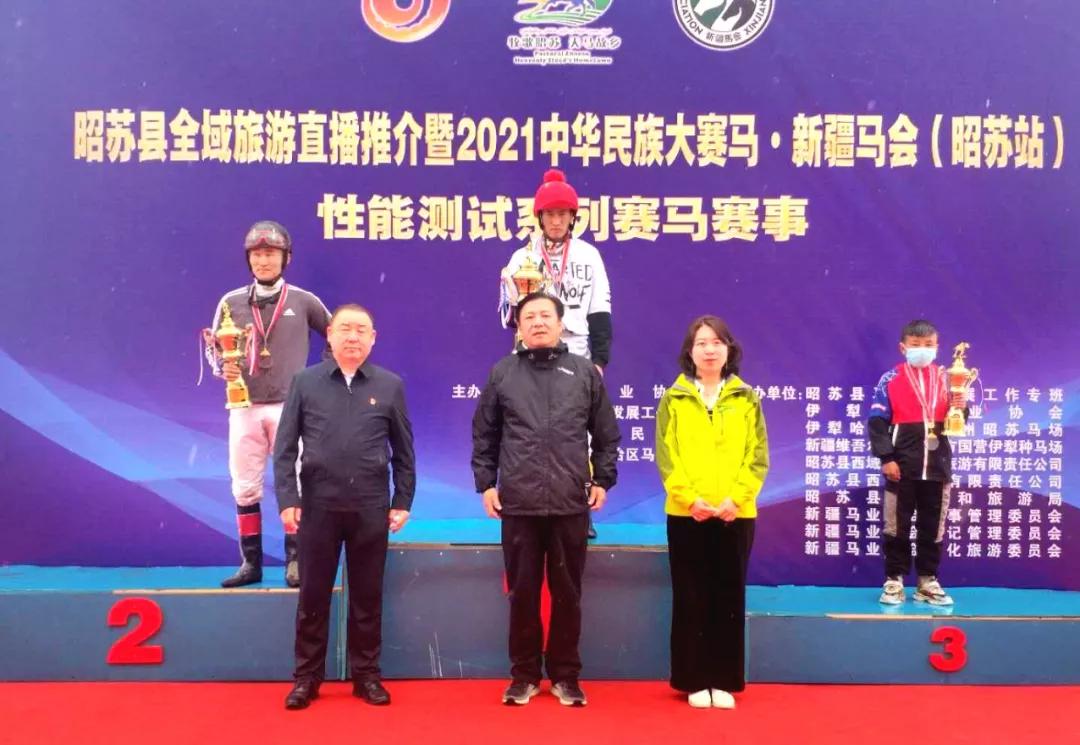 香港马会资料大全，2019年回顾与免费资源指南解析香港2021年马会资料大全