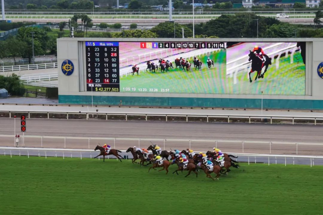 香港马会资料大全，2019年回顾与免费资源指南香港2021年马会资料大全