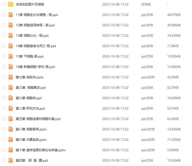 管家婆一肖资料大全，解析与运用指南的探索之旅