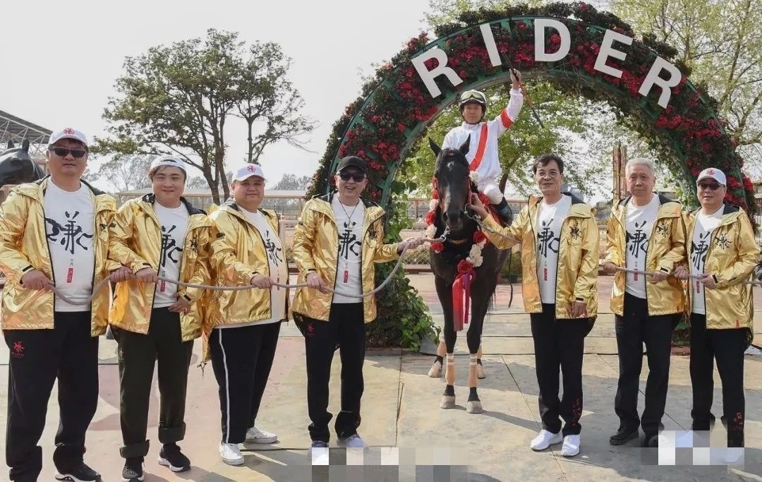 香港马赛开奖直播，一场精彩与期待的视觉盛宴！揭秘买马的乐趣和结果呈现的魅力时刻香港买马开奖结果直播今天