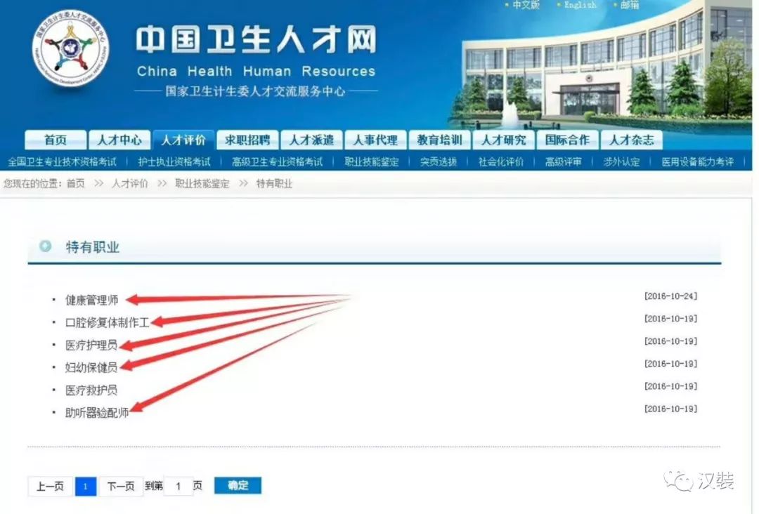 人才卫生网官网入口，打造健康医疗行业的人才交流平台新标杆的探索与实践之路人才卫生网官网入口查询