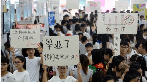 应届毕业生找工作首选网站指南应届毕业生找工作上什么网站