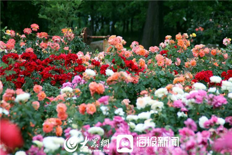 化工英才网app下载，开启职业新篇章的利器！你的专业求职助手上线了!化工英才网官网招聘app