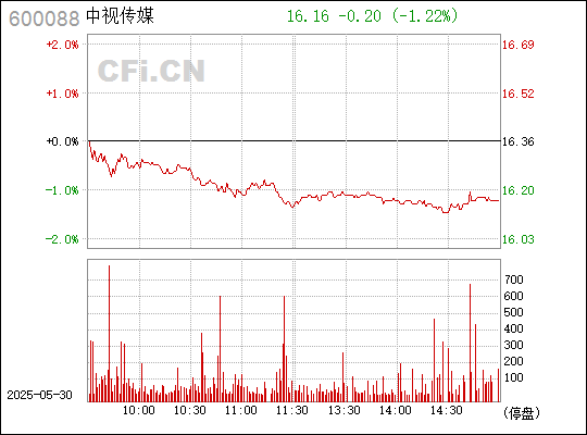 600088中视传媒股票