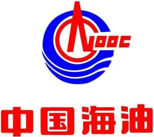 中国海洋石油集团有限公司，深海中的巨擘中国海洋石油集团有限公司采办业务管理