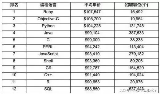 程序员的前景与未来，探索科技浪潮中的无限可能程序员的前景和未来工资怎么样