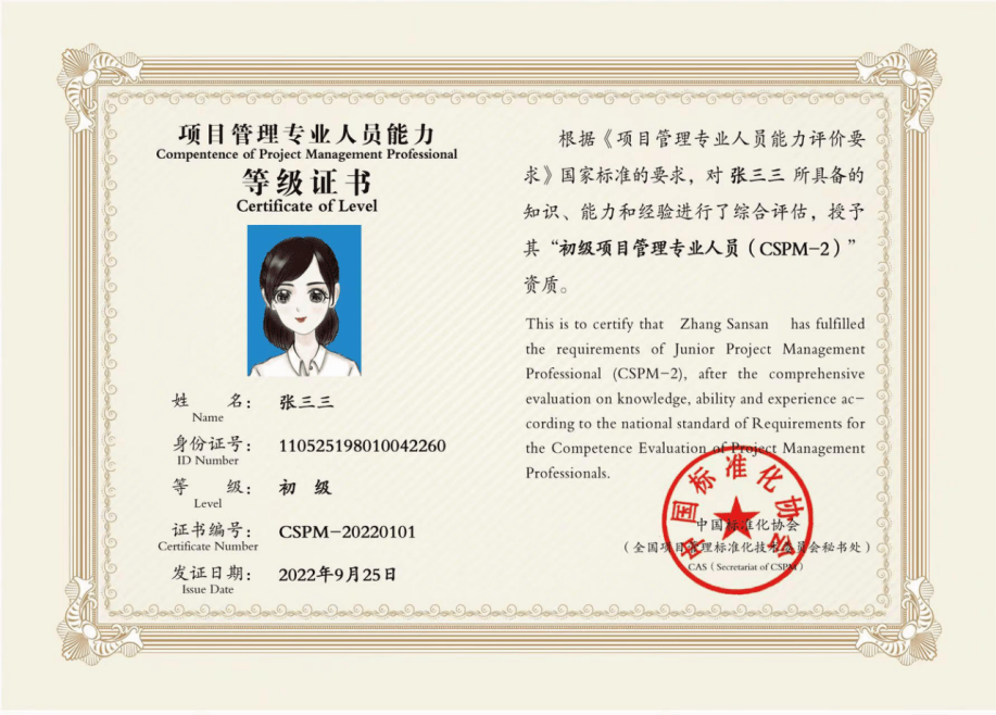 项目管理的核心要素与实施策略项目管理证书报考条件要求