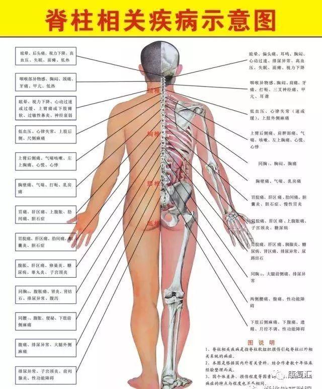 在家可以做的工作，疫情下的新职业选择与未来趋势在家可以做的工作有哪些
